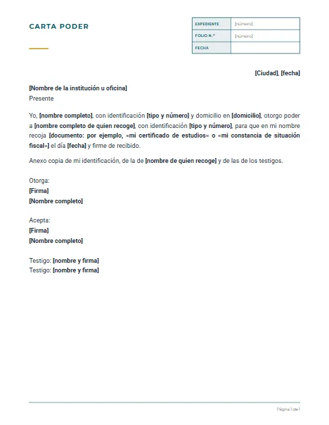 Carta Poder para Recoger Documentos: diseño Expediente