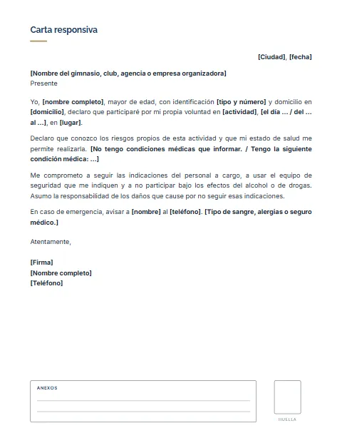 Carta Responsiva Personal: diseño Con anexos