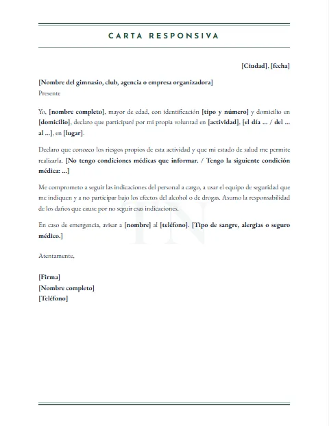 Carta Responsiva Personal: diseño Marca de agua