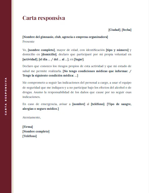 Carta Responsiva Personal: diseño Margen