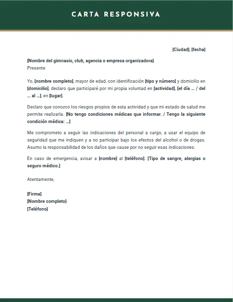 Carta Responsiva Personal: diseño Oficial