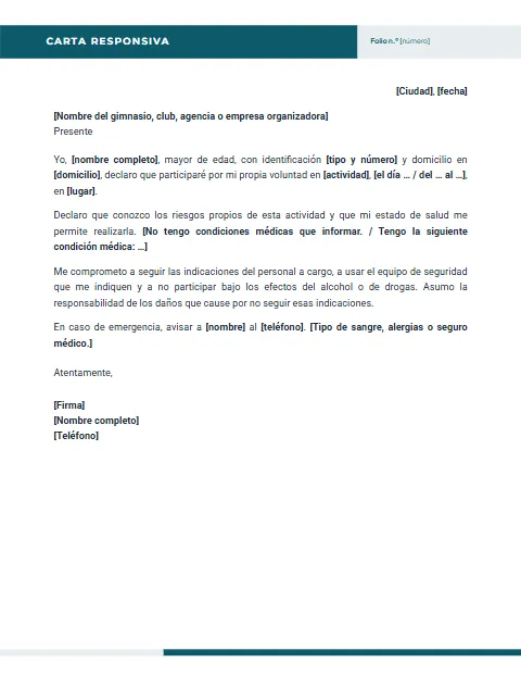Carta Responsiva Personal: diseño Encabezado partido