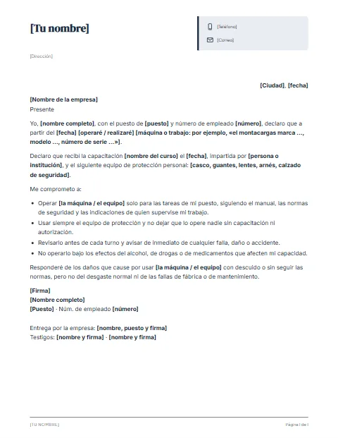 Carta Responsiva para Trabajar: diseño Ficha de datos