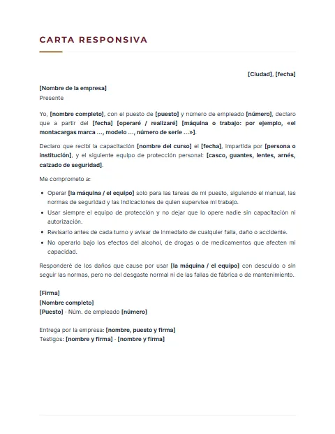 Carta Responsiva para Trabajar: diseño Sobrio
